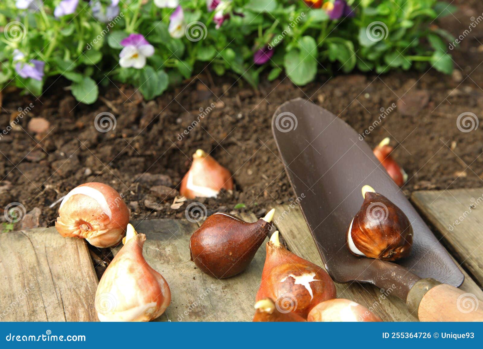 Post Image