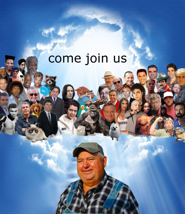 Post Image
