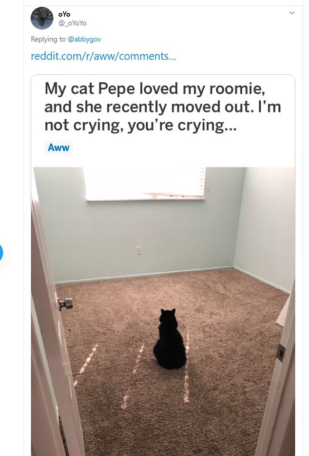 Post Image