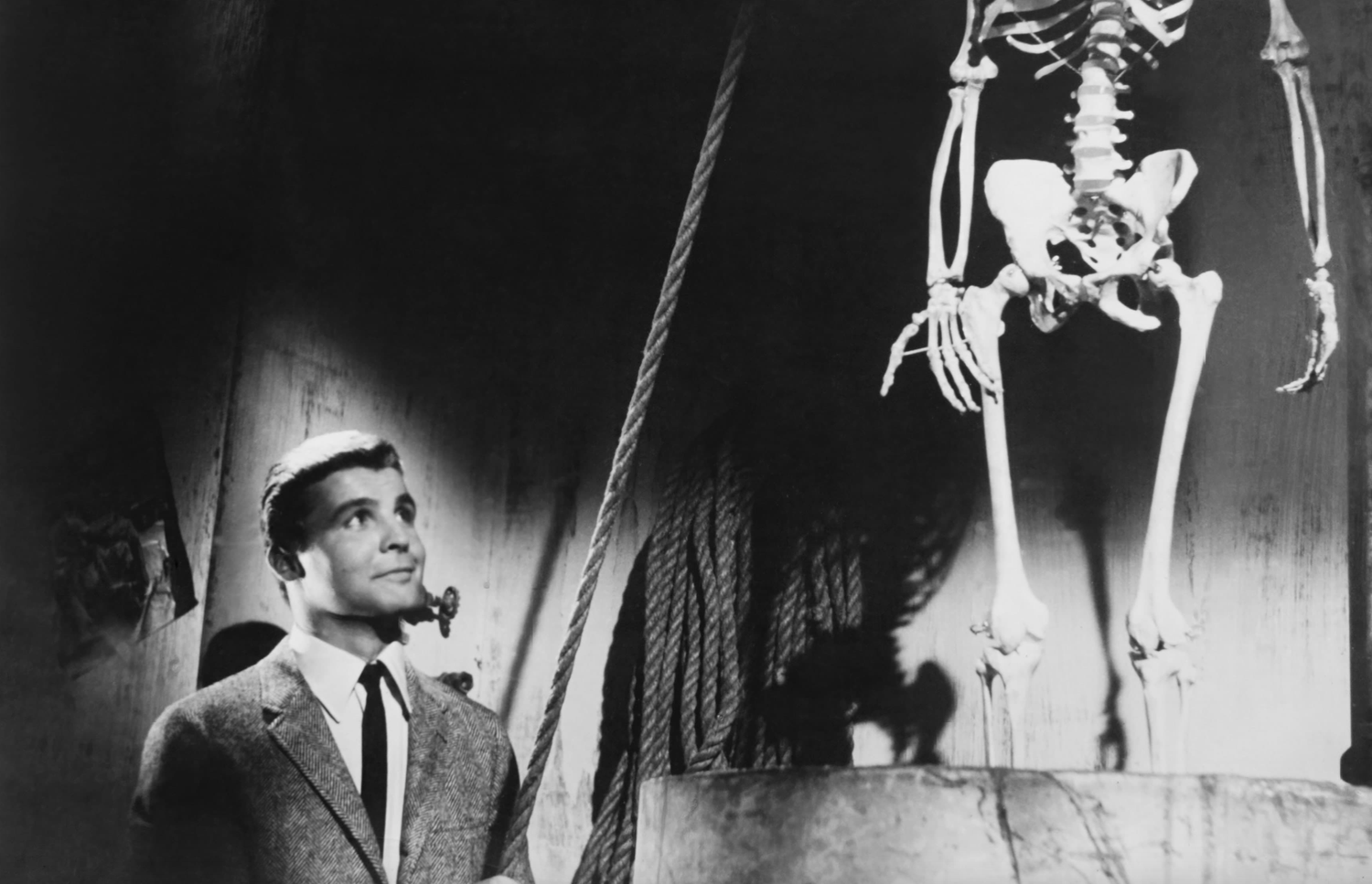 10 Cult Horror Films Guaranteed To Shock You 10 Cult Horror Films Guaranteed To Shock You
