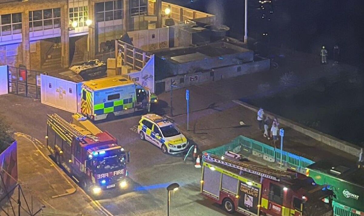 11-Year-Old Girl Missing After Falling Into River Thames: Police Search Underway 11-Year-Old Girl Missing After Falling Into River Thames: Police Search Underway