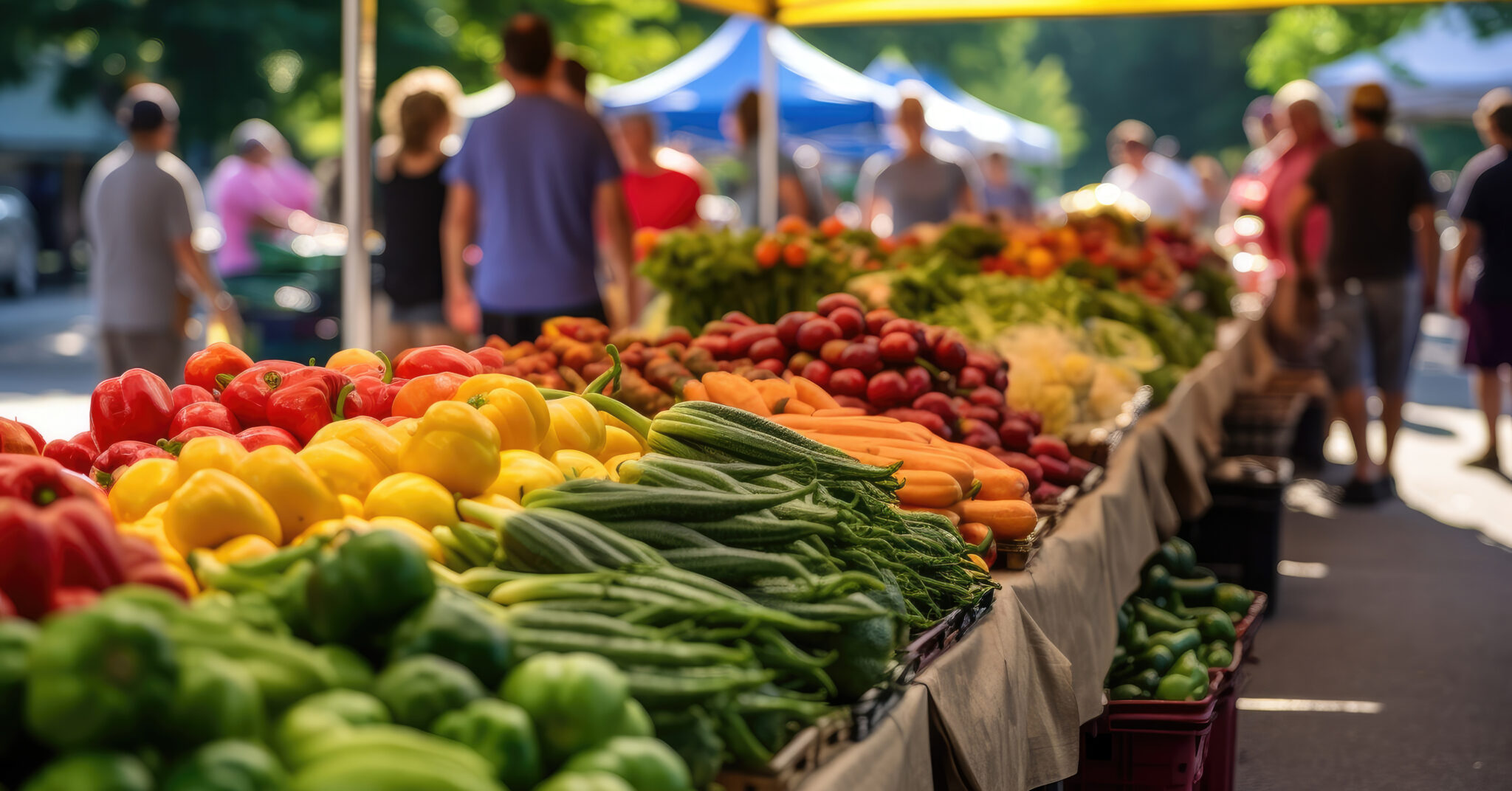 2024 Financial Report: PCC Community Markets Announces Profit Increase 2024 Financial Report: PCC Community Markets Announces Profit Increase