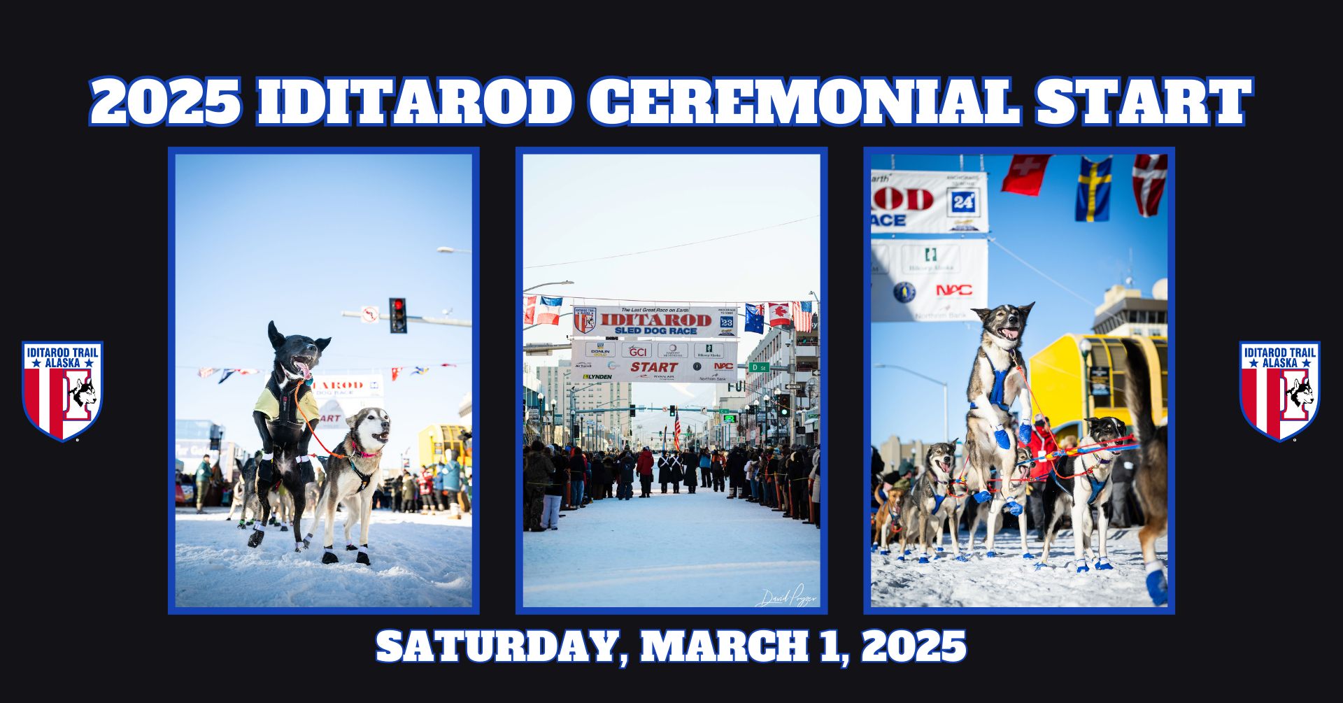 2025 Iditarod Ceremonial Start: A Spectacle In Downtown Anchorage 2025 Iditarod Ceremonial Start: A Spectacle In Downtown Anchorage