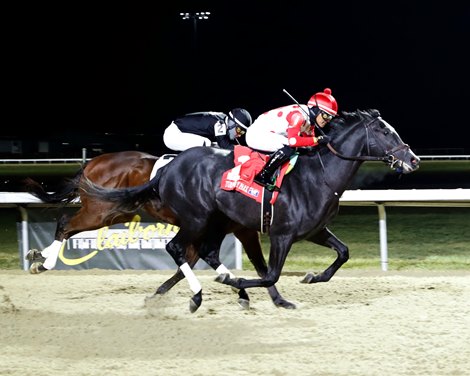 2025 Kentucky Derby: Chunk Of Gold's Profile And Betting Odds 2025 Kentucky Derby: Chunk Of Gold's Profile And Betting Odds