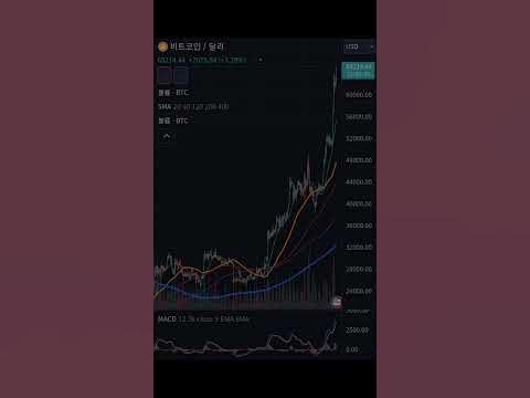 뛰는 코인, 나는 코인 관련주: 투자 전략 360도 분석 뛰는 코인, 나는 코인 관련주: 투자 전략 360도 분석