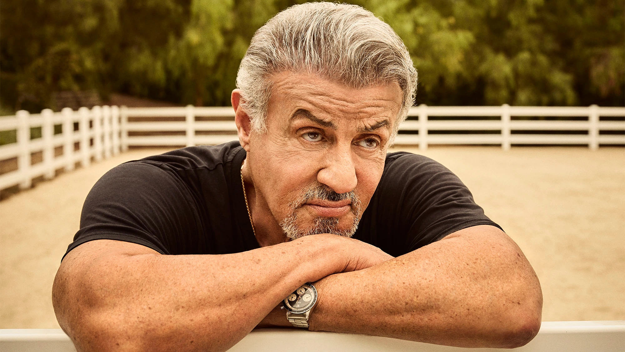 A Verdadeira Qualidade Da Adaptação Em Quadrinhos De Sylvester Stallone A Verdadeira Qualidade Da Adaptação Em Quadrinhos De Sylvester Stallone