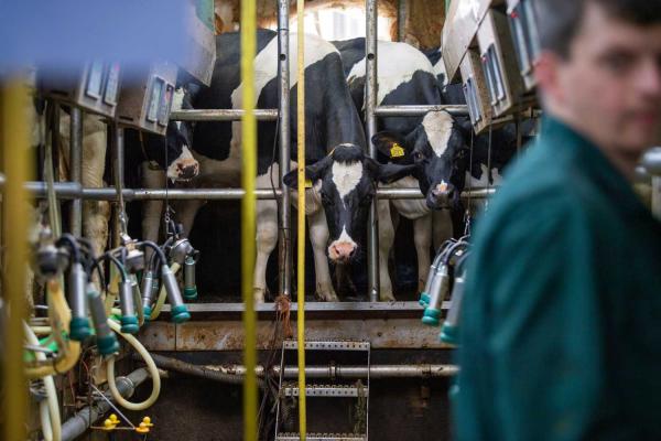 ABN AMRO: Sterke Stijging Occasionverkoop Door Groeiend Autobezit ABN AMRO: Sterke Stijging Occasionverkoop Door Groeiend Autobezit