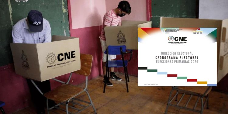 Actualización Del CNE Sobre Las Elecciones Primarias De 2025 Actualización Del CNE Sobre Las Elecciones Primarias De 2025