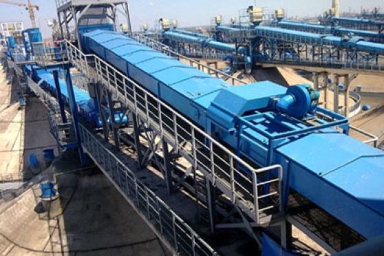Addressing China's Soybean Shortage: Sinograin's Auction Strategy Addressing China's Soybean Shortage: Sinograin's Auction Strategy