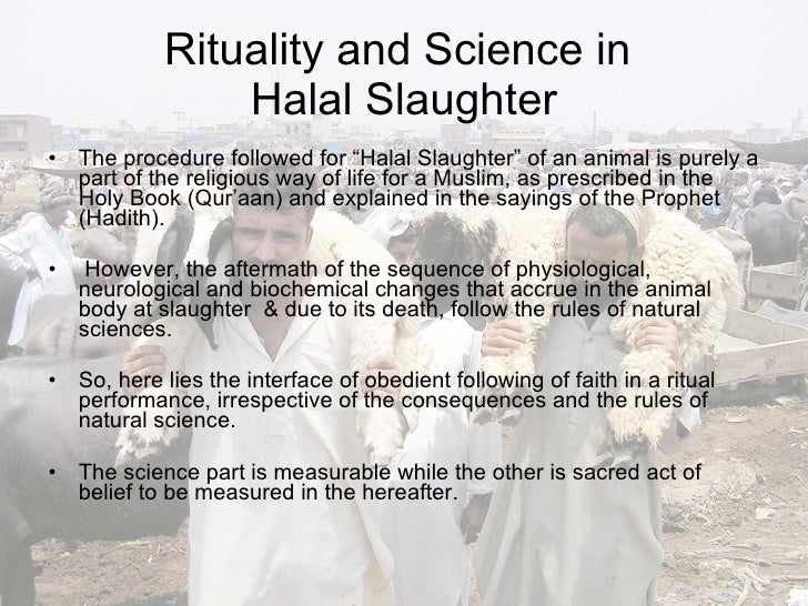Addressing The Ethical Issues Of Halal Slaughter For Vegans Addressing The Ethical Issues Of Halal Slaughter For Vegans