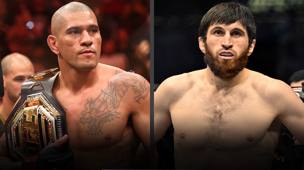 Alex Pereira On UFC 313 Defeat: Future Plans And Reflections Alex Pereira On UFC 313 Defeat: Future Plans And Reflections