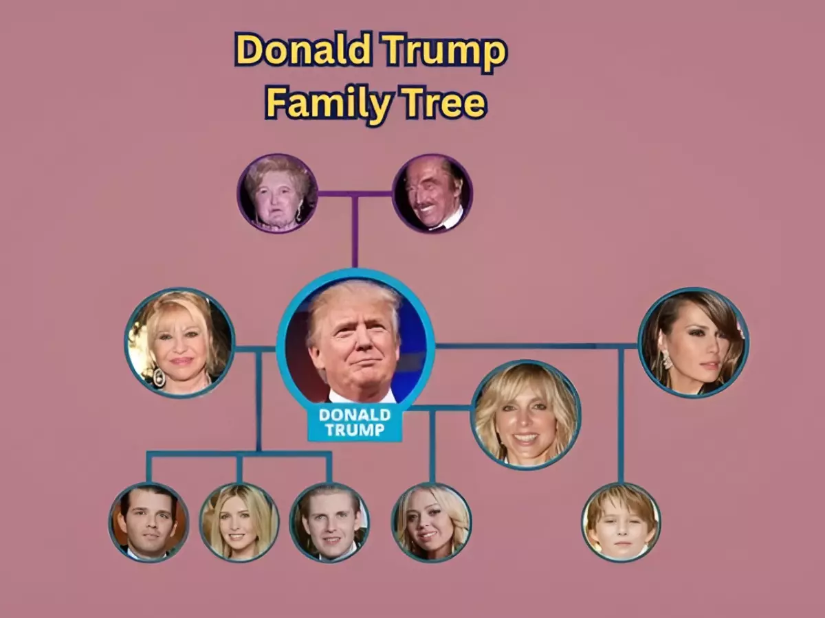 Alexander Boulos Arrives: Exploring The Expanding Trump Family Tree Alexander Boulos Arrives: Exploring The Expanding Trump Family Tree