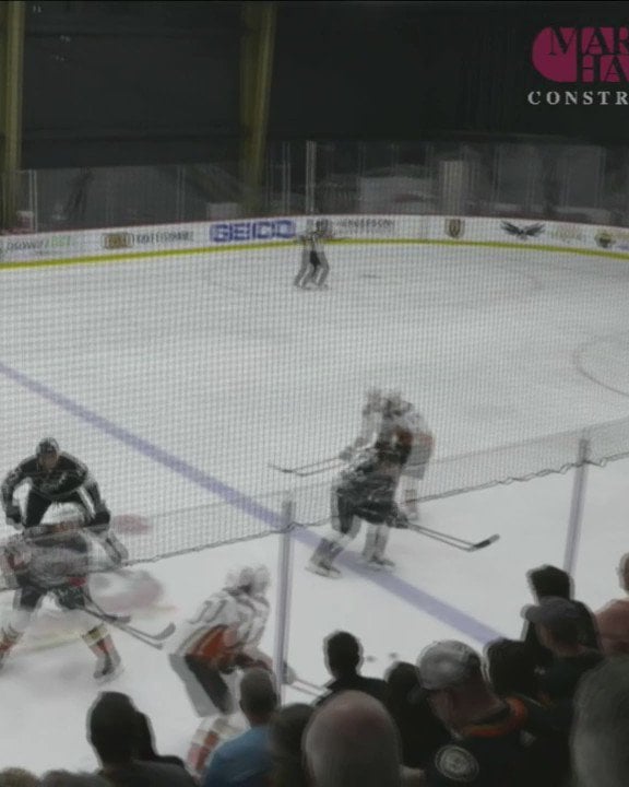 Anaheim Ducks' Leo Carlsson Scores Two, But Stars Secure Overtime Victory Anaheim Ducks' Leo Carlsson Scores Two, But Stars Secure Overtime Victory
