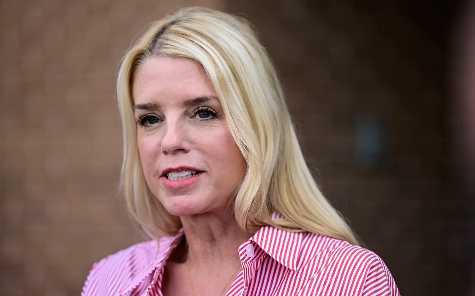Analysis Of Pam Bondi's Reaction To James Comer's Epstein Accusations Analysis Of Pam Bondi's Reaction To James Comer's Epstein Accusations