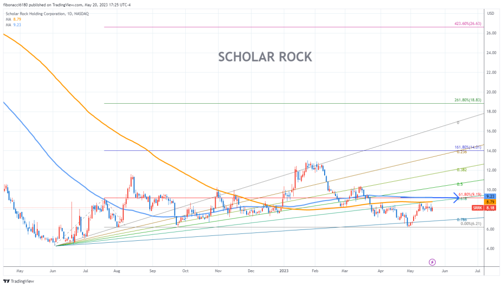 Analyzing Scholar Rock Stock's Unexpected Monday Fall Analyzing Scholar Rock Stock's Unexpected Monday Fall