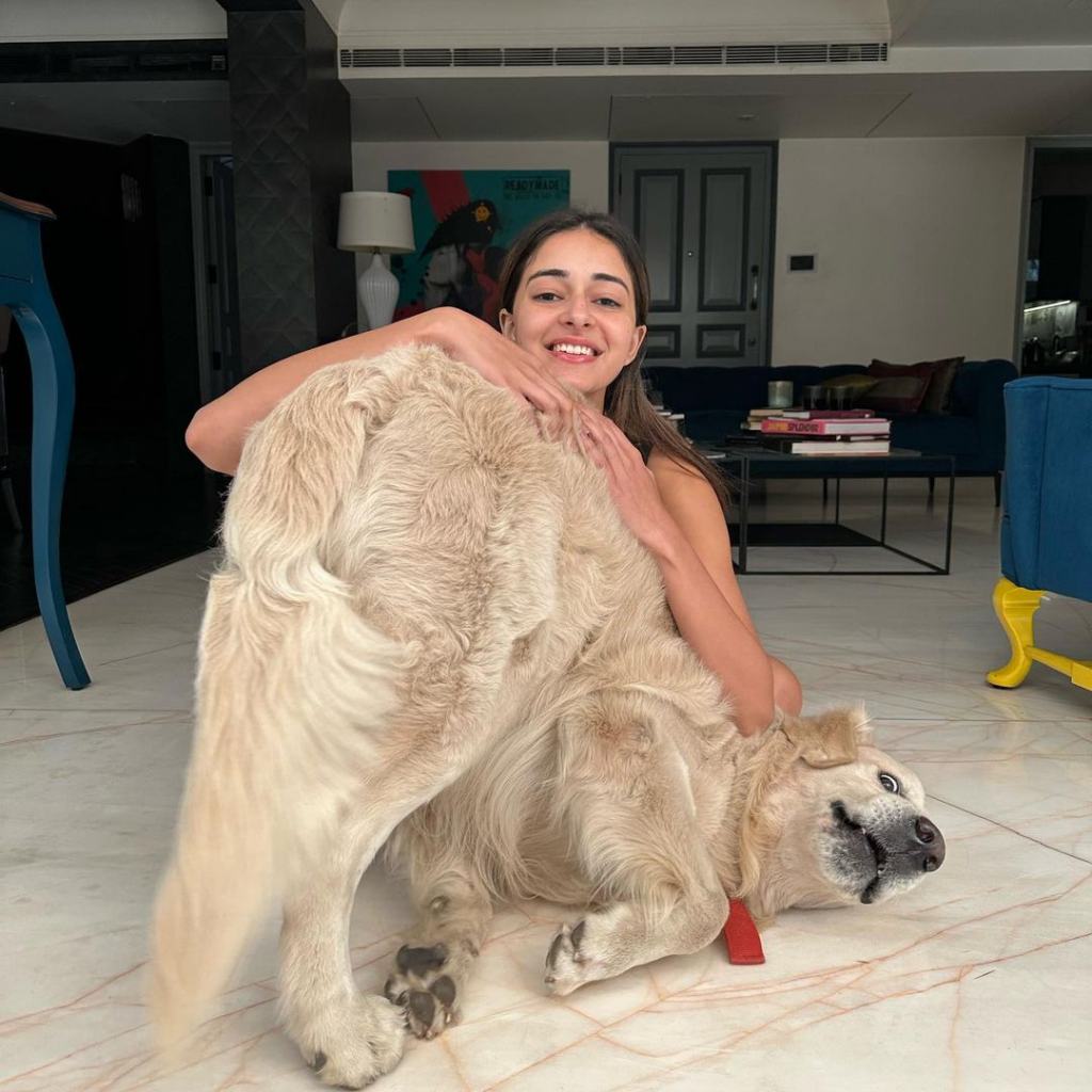 Ananya Panday's Dog Riot's First Birthday: See The Adorable Celebrations Ananya Panday's Dog Riot's First Birthday: See The Adorable Celebrations