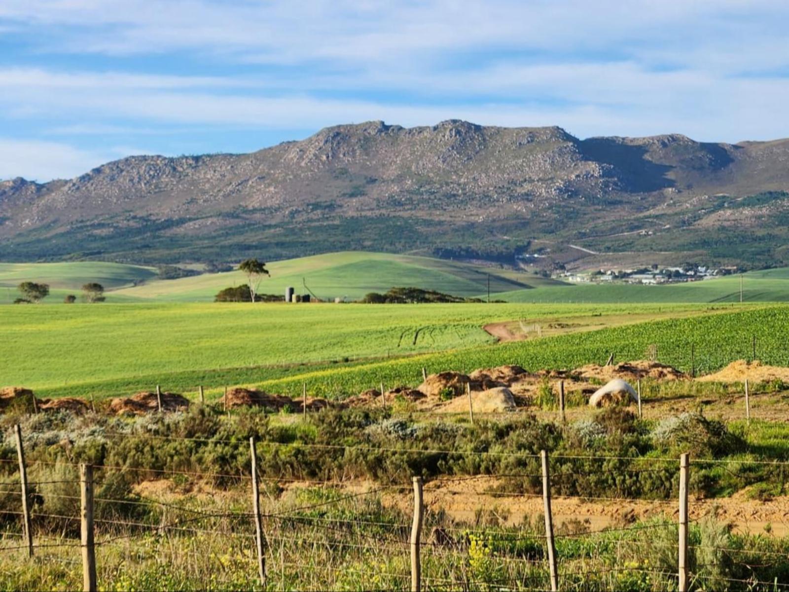 Andalusian Farmstay: Your Perfect Country Escape Andalusian Farmstay: Your Perfect Country Escape