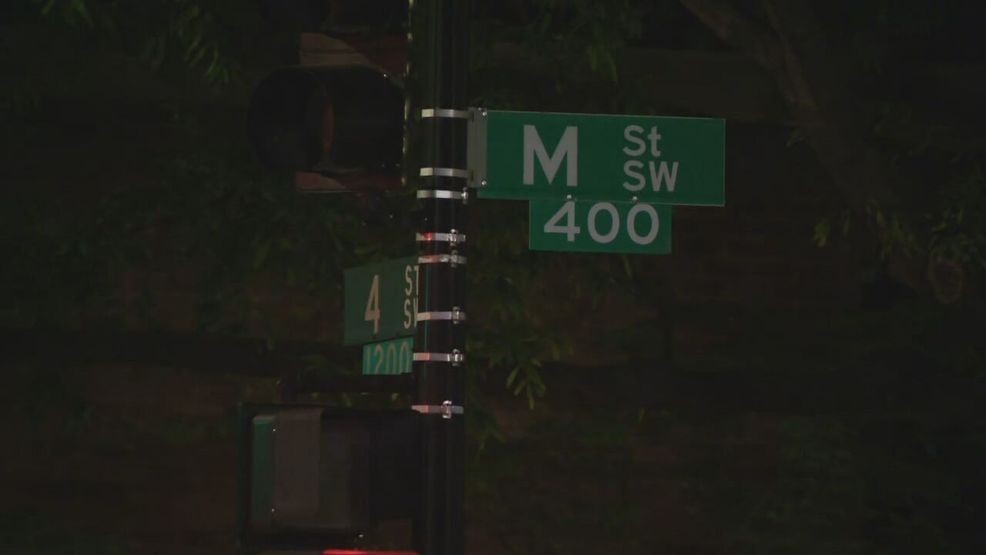 AP Photos: Fatal Shooting Near DC's Jewish Museum; Israeli Embassy Staff Victims AP Photos: Fatal Shooting Near DC's Jewish Museum; Israeli Embassy Staff Victims