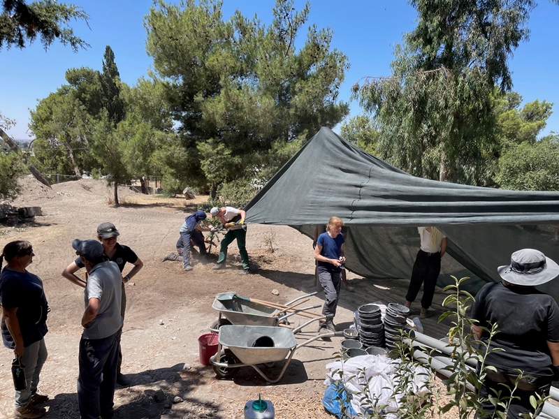 Αποφάσεις Της Συνόδου Του Πατριαρχείου Ιεροσολύμων: Ολοκληρωμένη Ανάλυση Αποφάσεις Της Συνόδου Του Πατριαρχείου Ιεροσολύμων: Ολοκληρωμένη Ανάλυση