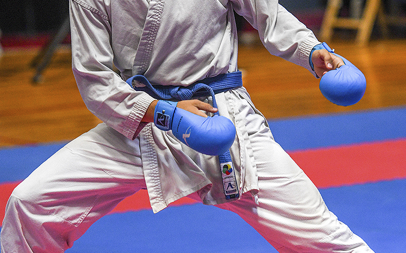 Apoyo Para El Equipo Uruguayo De Karate Full Contact En El Mundial Apoyo Para El Equipo Uruguayo De Karate Full Contact En El Mundial