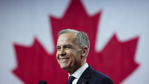 Assessing Carney's Cabinet: A Call For Responsible Governance Assessing Carney's Cabinet: A Call For Responsible Governance