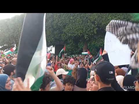 استقلال الوطن: واجبٌ وطنيٌ مقدس استقلال الوطن: واجبٌ وطنيٌ مقدس
