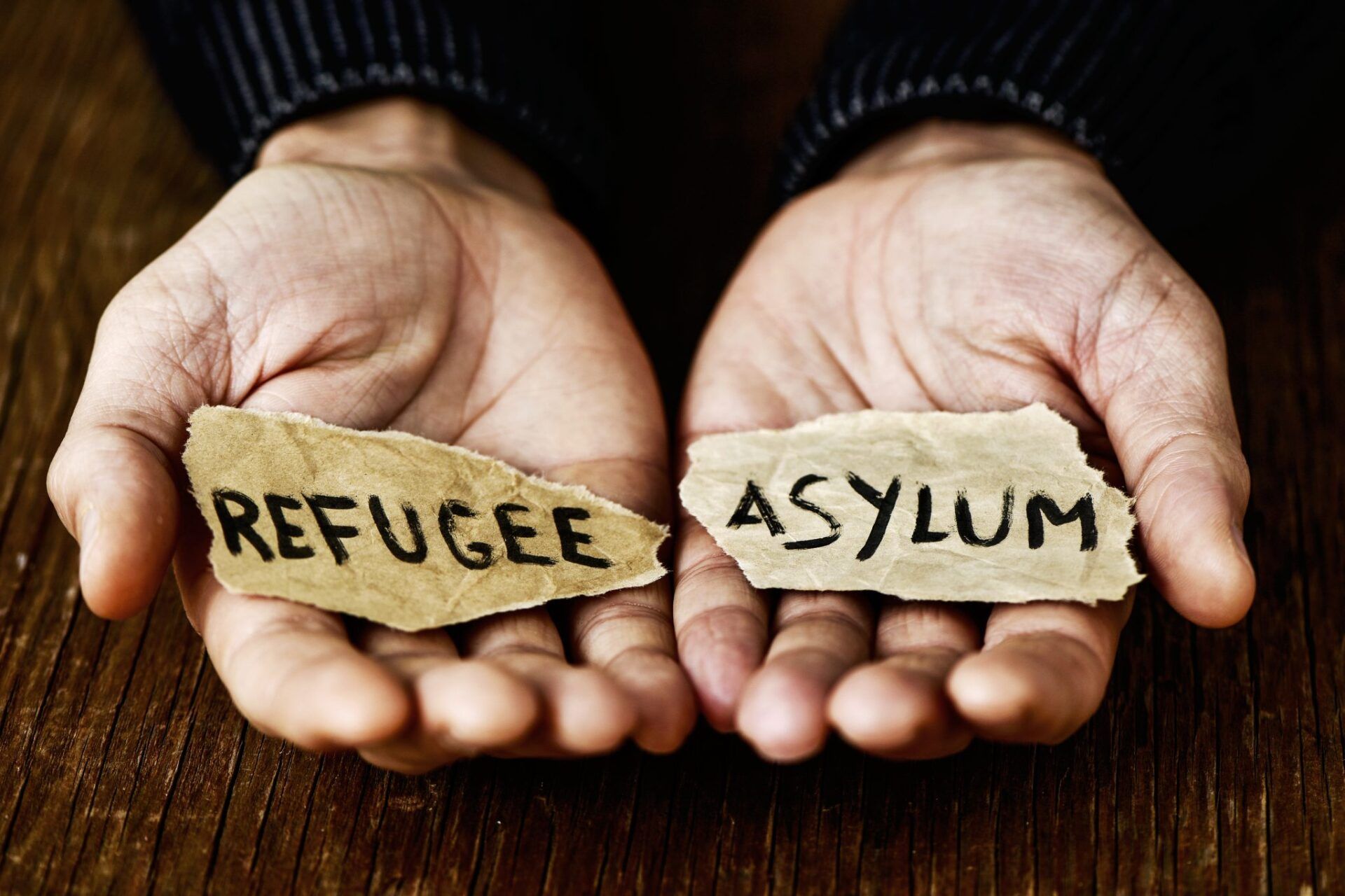 Asylum Seeker Claims Exemption From Inspectorate Opinion On Laws Asylum Seeker Claims Exemption From Inspectorate Opinion On Laws