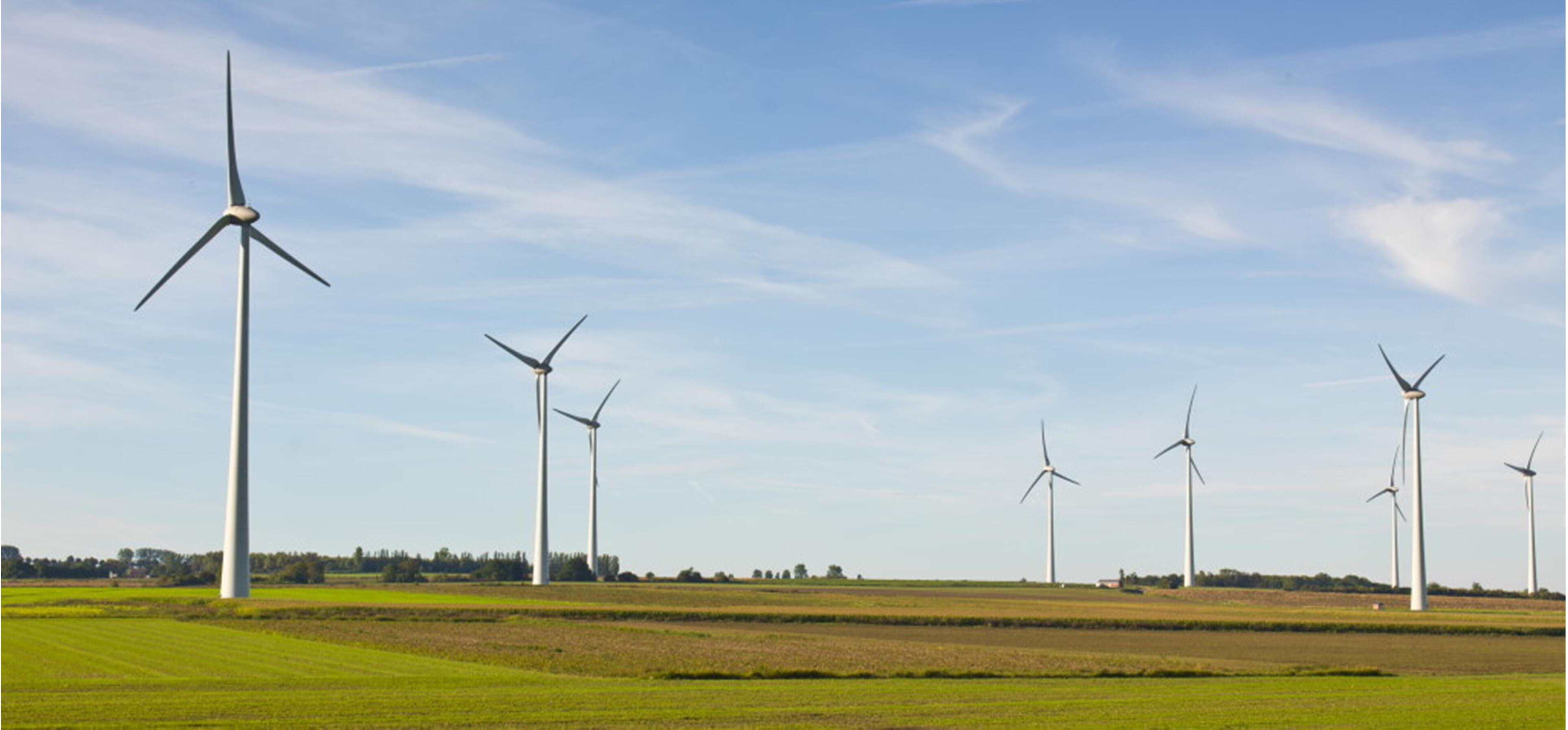 Au Roeulx: Eneco Lance Le Plus Grand Parc De Batteries De Belgique Au Roeulx: Eneco Lance Le Plus Grand Parc De Batteries De Belgique