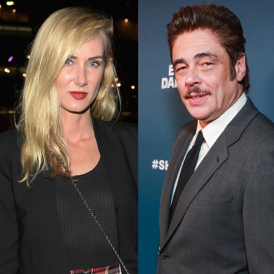 Benicio Del Toro's Gift: A Carefully Hatched Scheme Benicio Del Toro's Gift: A Carefully Hatched Scheme