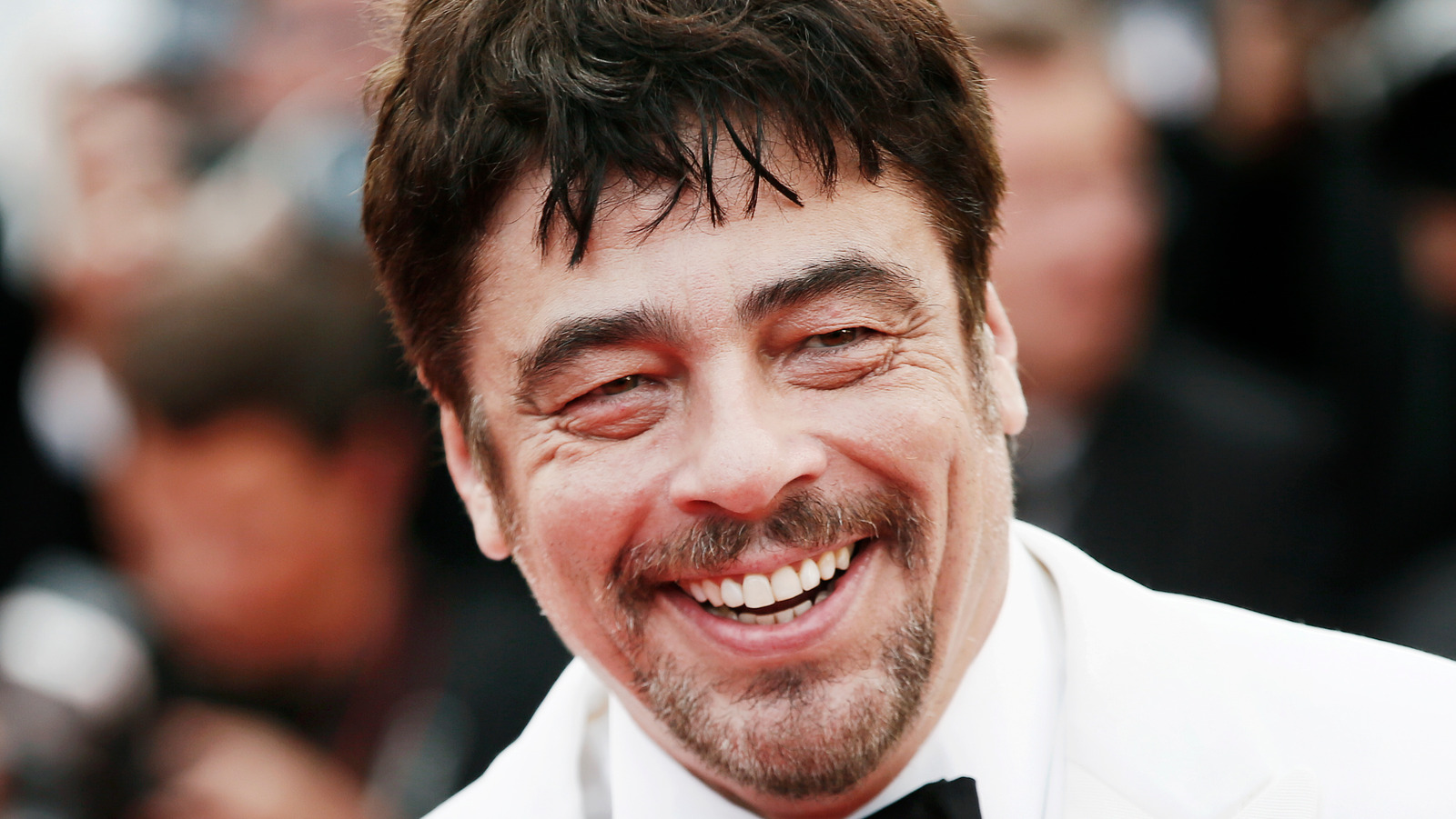 Benicio Del Toro's Unexpected Gift: A Detailed Scheme Benicio Del Toro's Unexpected Gift: A Detailed Scheme