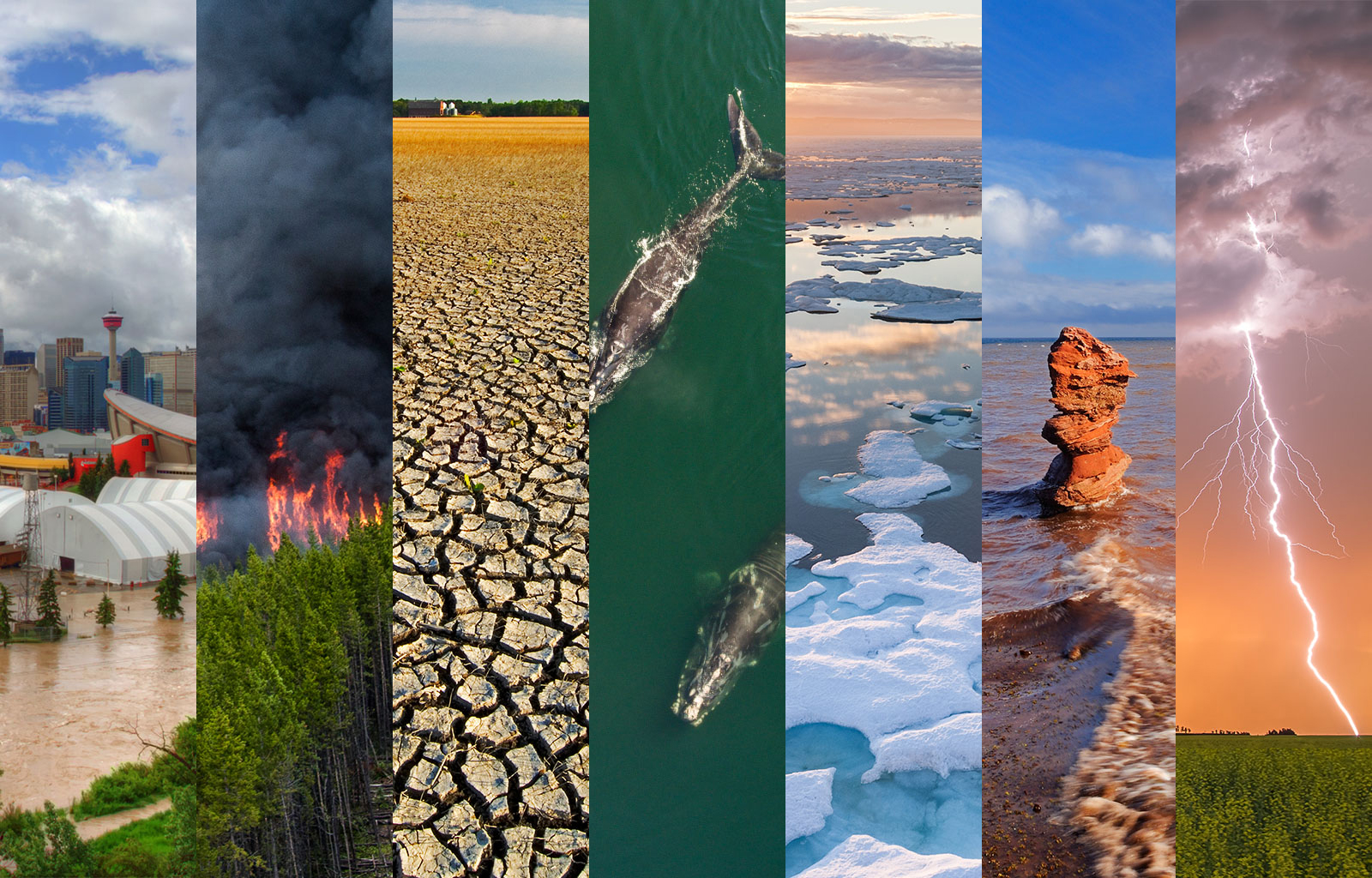 Betting On Natural Disasters: The LA Wildfires And The Changing Landscape Of Gambling Betting On Natural Disasters: The LA Wildfires And The Changing Landscape Of Gambling