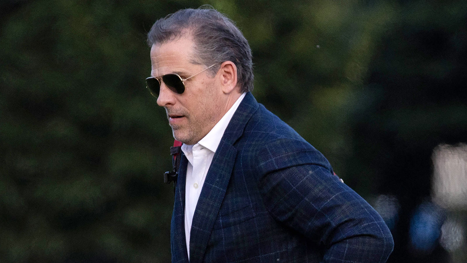 Biden Family And Politics: An Aide's Counsel Biden Family And Politics: An Aide's Counsel