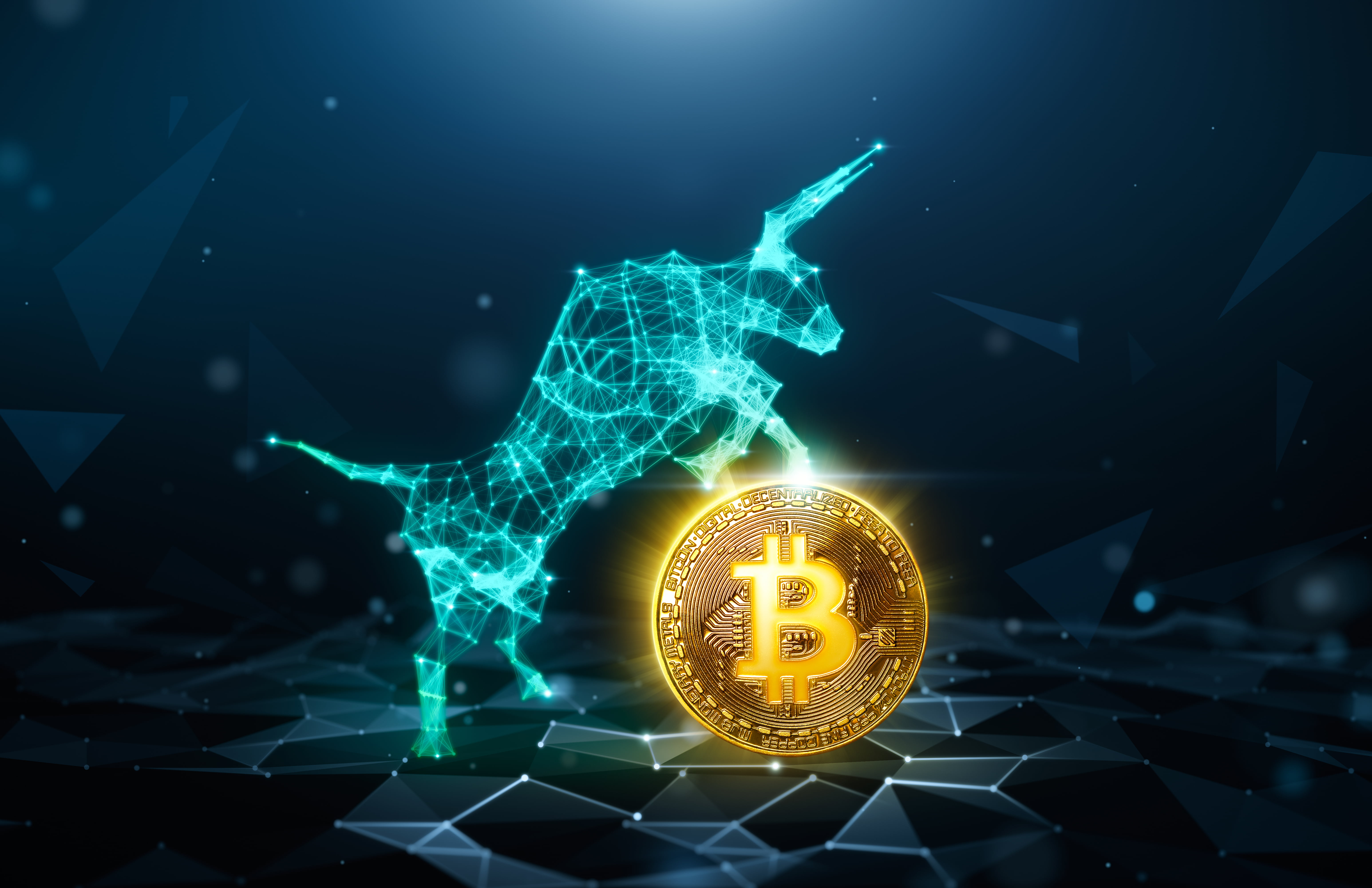 Bitcoin Rebound: Is This The Start Of A New Bull Run? Bitcoin Rebound: Is This The Start Of A New Bull Run?
