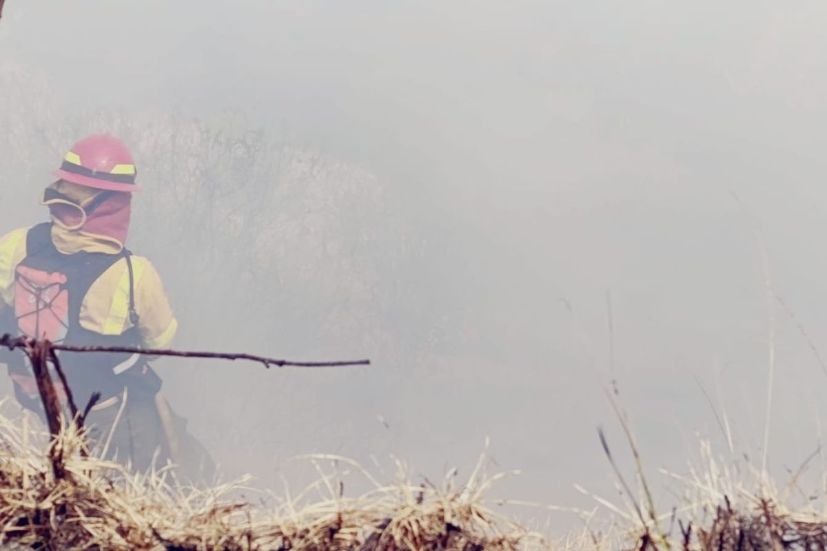 Bomberos Combaten Violento Incendio Forestal En Constanza Bomberos Combaten Violento Incendio Forestal En Constanza