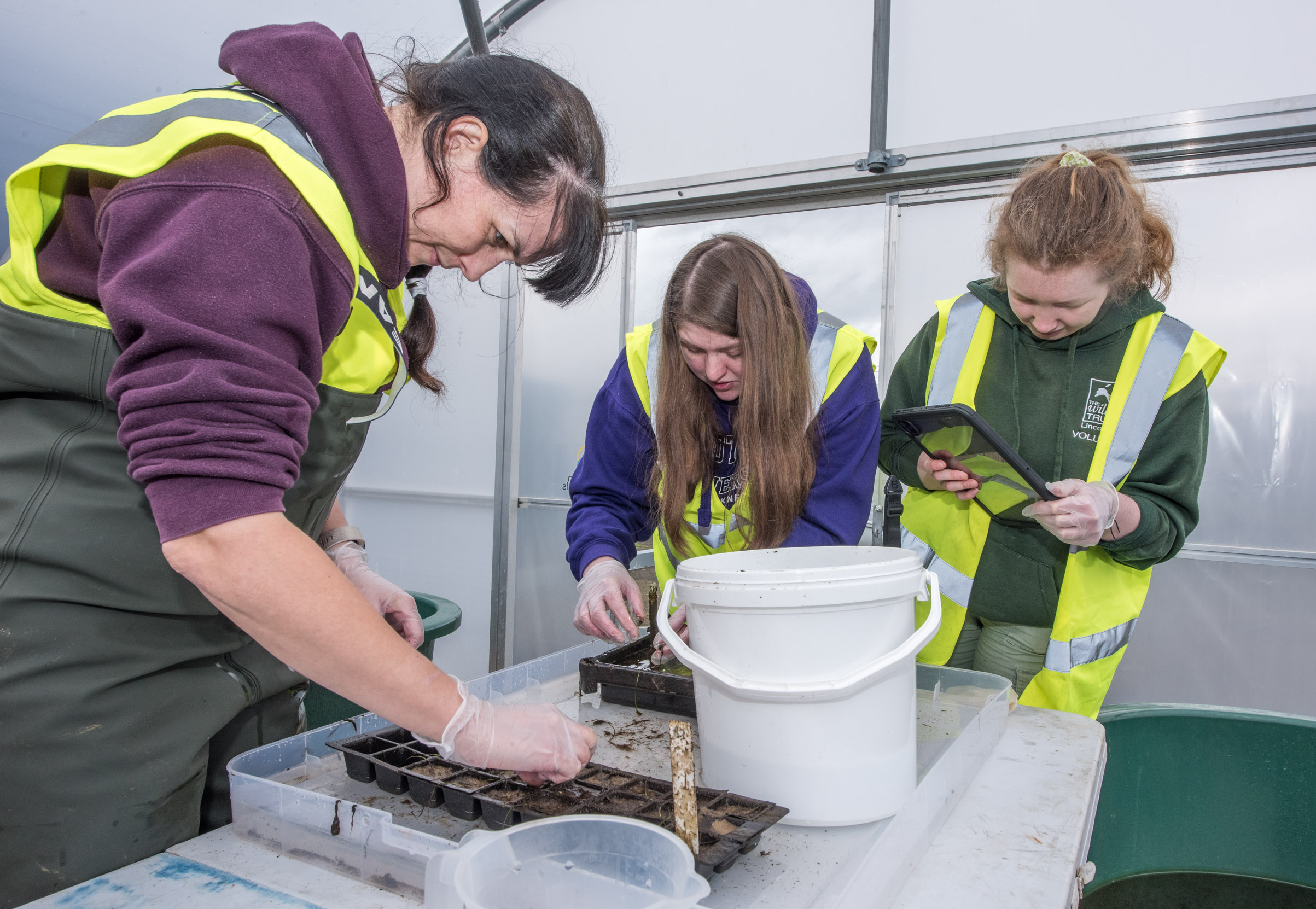 Boosting Scotland's Coastline: New Seagrass Planting Initiatives Boosting Scotland's Coastline: New Seagrass Planting Initiatives