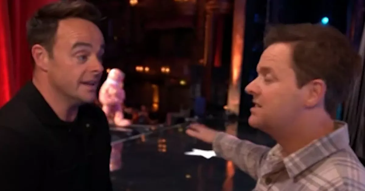 Britain's Got Talent: Ant & Dec Halt Live Show Twice, Cowell Furious Britain's Got Talent: Ant & Dec Halt Live Show Twice, Cowell Furious
