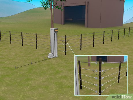 Building A Living Fence: Step-by-Step Instructions Building A Living Fence: Step-by-Step Instructions