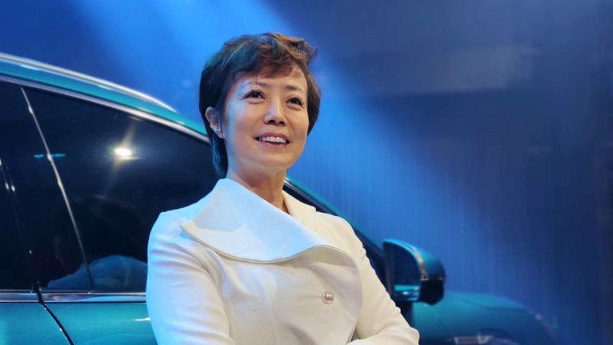 BYD Expands Global EV Lead As Ford's Influence Wanes In Brazil BYD Expands Global EV Lead As Ford's Influence Wanes In Brazil