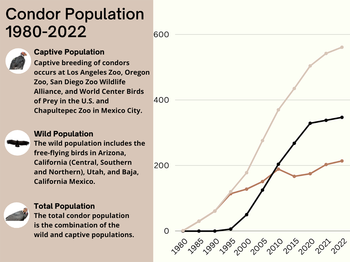 California Population: The Impact Of Immigration California Population: The Impact Of Immigration