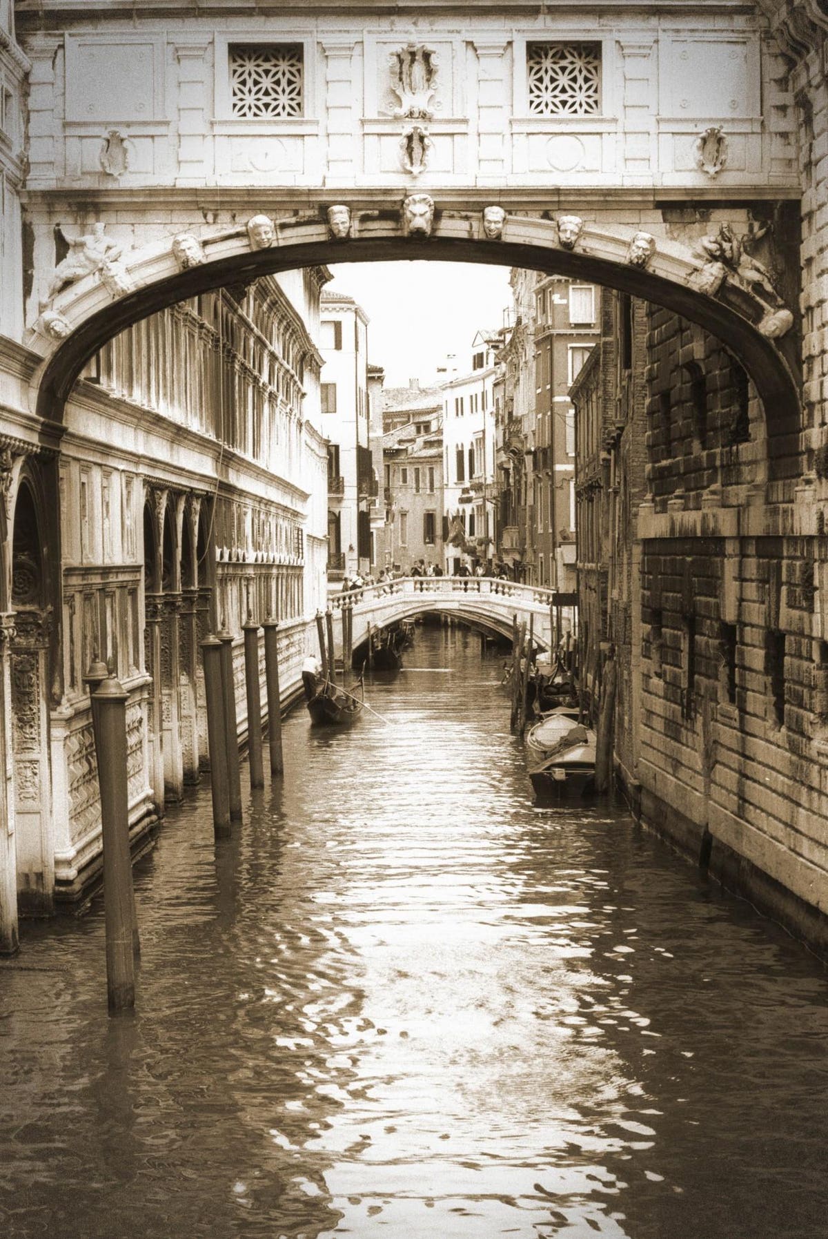 Can Venice Be Saved? A New Proposal To Lift The City Can Venice Be Saved? A New Proposal To Lift The City