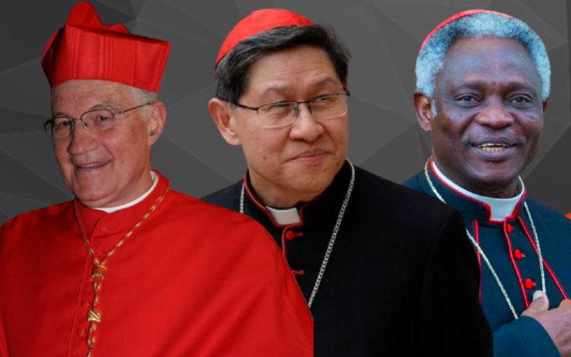 Cardinals In The Conclave: Potential Next Pope Candidates Cardinals In The Conclave: Potential Next Pope Candidates