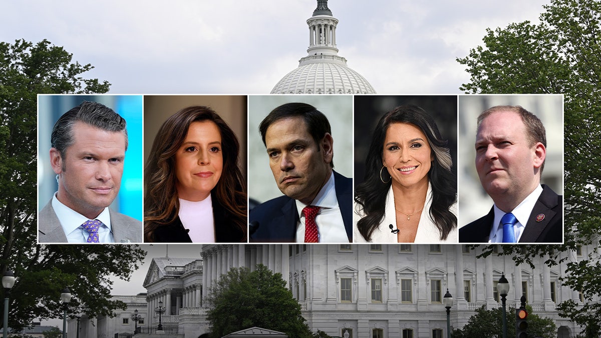 Carney's Cabinet Picks: Key Business Leaders To Watch Carney's Cabinet Picks: Key Business Leaders To Watch