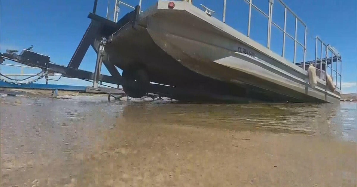 Casper Boat Lift Infestation: A Zebra Mussel Problem Casper Boat Lift Infestation: A Zebra Mussel Problem