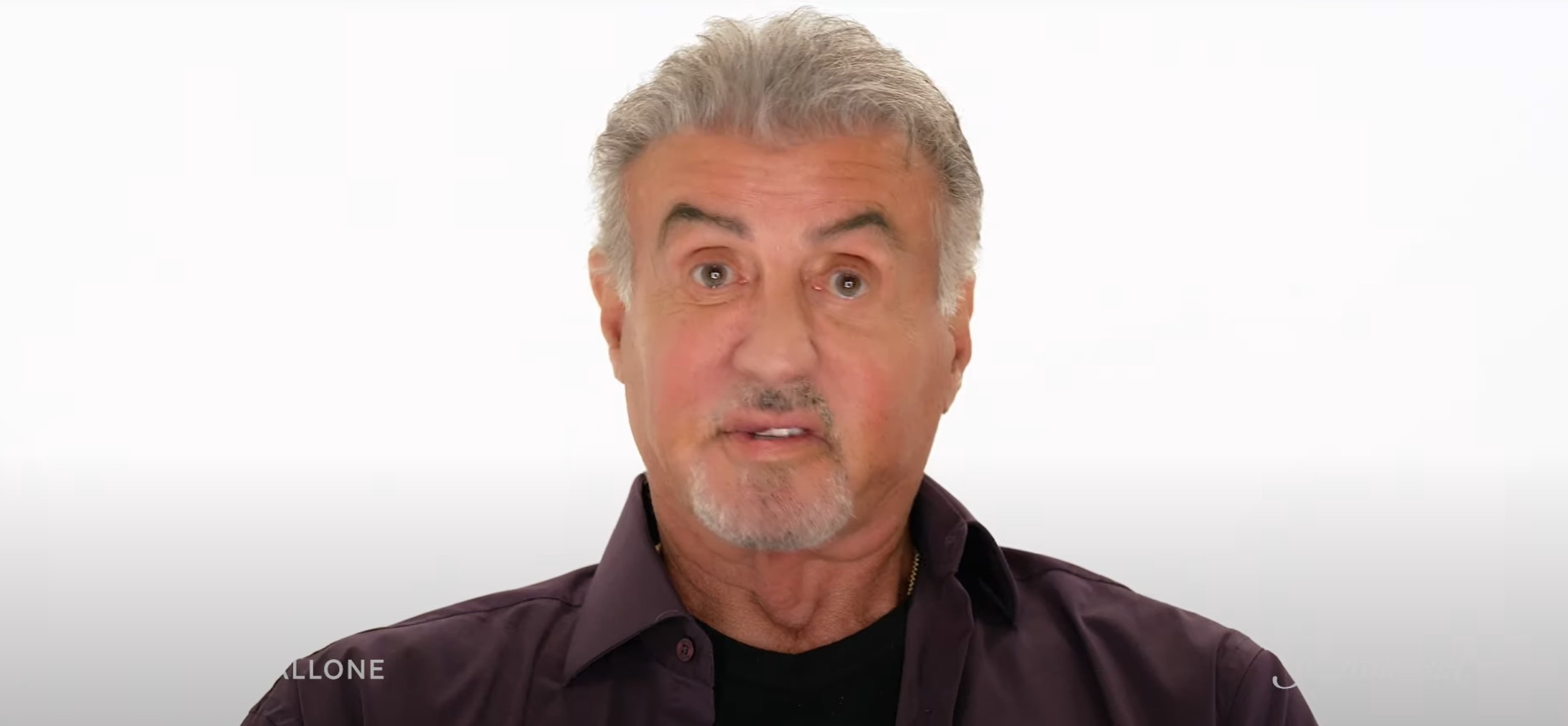 Câți Bani A Câștigat Sylvester Stallone Din Rocky? Câți Bani A Câștigat Sylvester Stallone Din Rocky?