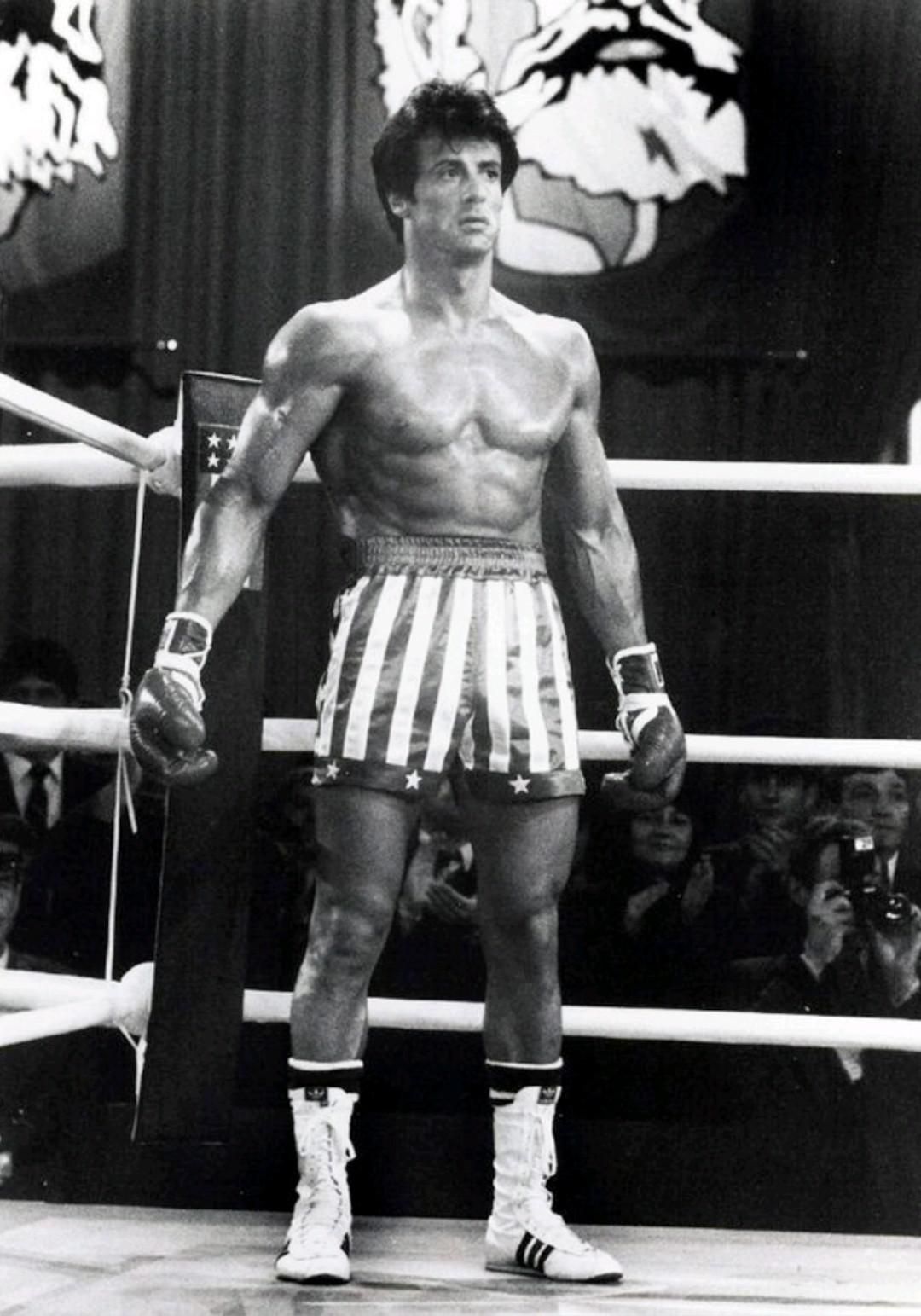 Câți Bani A Făcut Sylvester Stallone Din Rocky? Câți Bani A Făcut Sylvester Stallone Din Rocky?