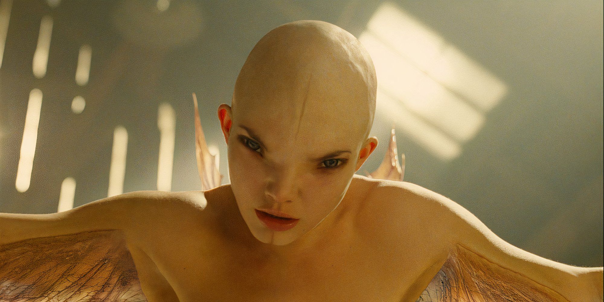 CayFest's Splice: A Film Analysis CayFest's Splice: A Film Analysis