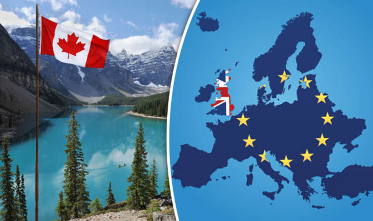 China Open To Formal Trade Deal With Canada: Ambassador's Statement China Open To Formal Trade Deal With Canada: Ambassador's Statement