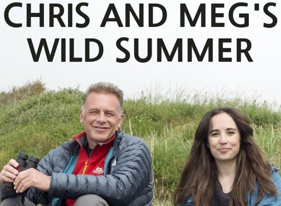 Chris And Meg's Wild Summer: A Memoir Chris And Meg's Wild Summer: A Memoir