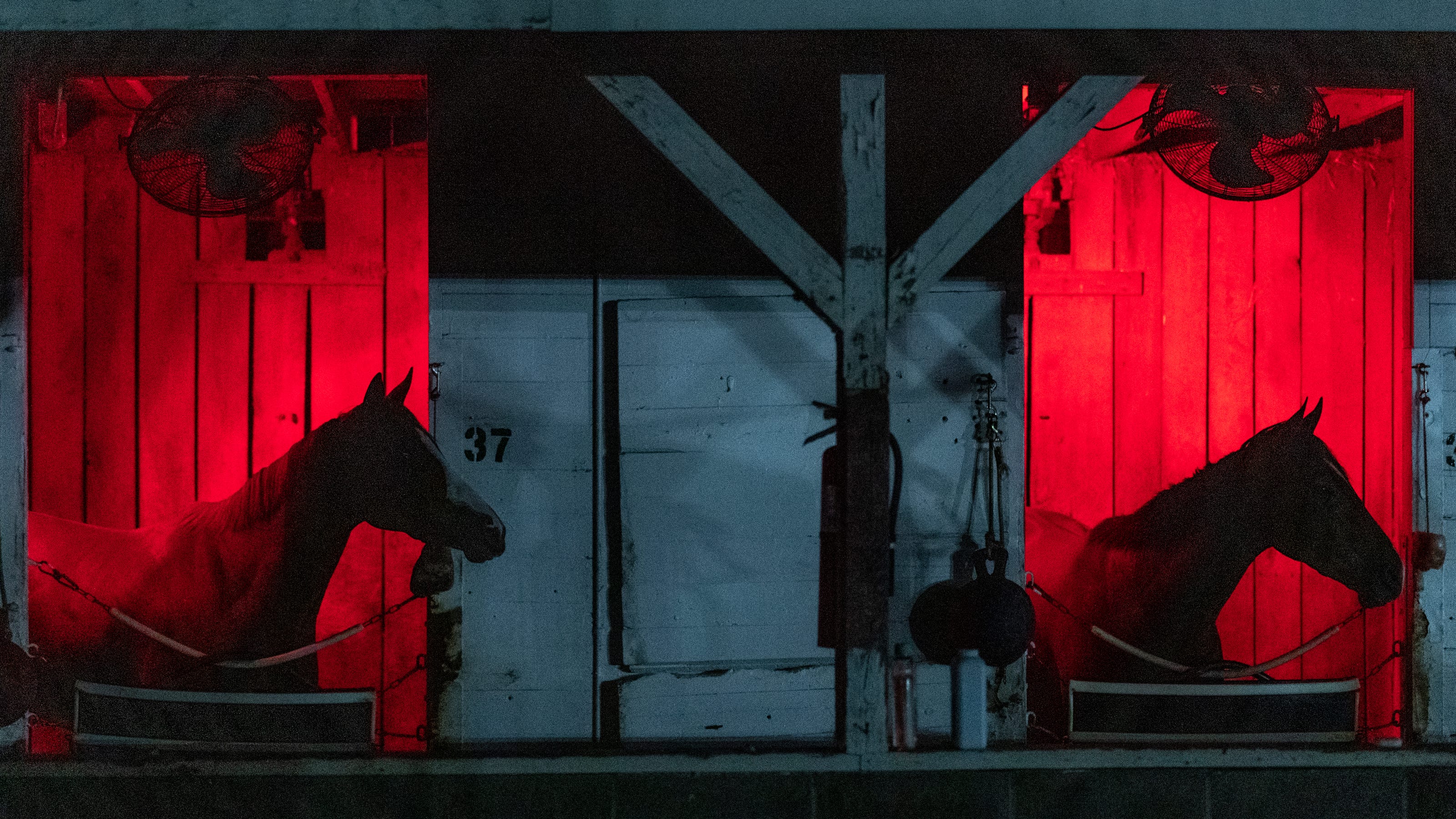 Churchill Downs Undergoes Major Renovations Before Kentucky Derby Churchill Downs Undergoes Major Renovations Before Kentucky Derby