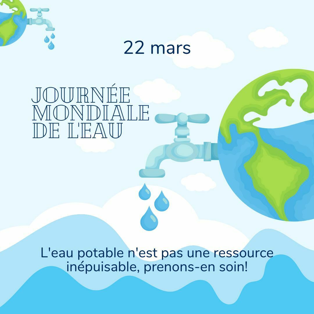 Combattre La Désinformation : Le Rôle De La RTBF Lors De La Journée Mondiale Du Fact-checking